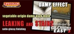 Leaking and stains vegetable origin damp