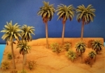 Palmen, tropische Pflanzen