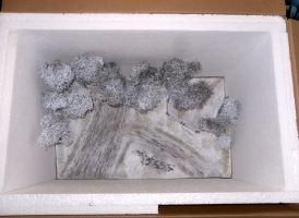 Diorama Grundplatte 51-1, Strae mit Panzerstellung, 1:35