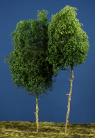 Diorama Zubehr Modell Bume, 2 Laubbume, ca. 25 - 29 cm,