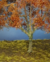 Diorama Modell Bume, 1 Buche mit rotem Herbstlaub, ca. 35 cm,