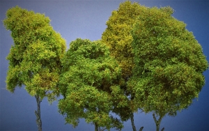 Diorama Modell Bume Typ 2, 4 Bume im Sommer, ca. 29 cm,