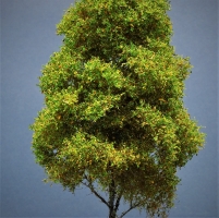 Diorama Modell Bume Typ 2, 4 Bume im Sommer, ca. 29 cm,