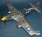 North American P-51 D Mustang IV in 1:24