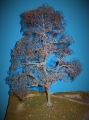 Diorama Zubehör Modell Bäume, 1 Eiche ohne Laub, ca. 35 cm,