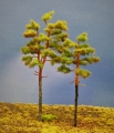 Diorama Modell Nadelbäume, 2 Waldkiefern, ca. 19 - 24 cm