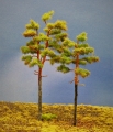 Diorama Modell Nadelbume, 2 Waldkiefern, ca. 19 - 24 cm