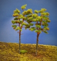 Diorama Modell Nadelbume, 2 Waldkiefern, ca. 22 - 24 cm