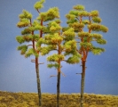 Diorama Modell Nadelbume, 3 Waldkiefern, ca.18 - 22 - 27 cm
