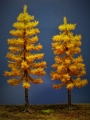 Diorama Modell Nadelbäume, 2 Lärchen im Herbst, ca. 35 / 30 cm
