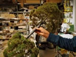 Diorama Zubehör Modell Bäume, 1 Buche mit Sommerlaub, ca. 60 cm,