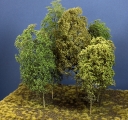 Modell Bäume, Baumgruppe aus 5 Laubbäumen, 25 - 30 cm